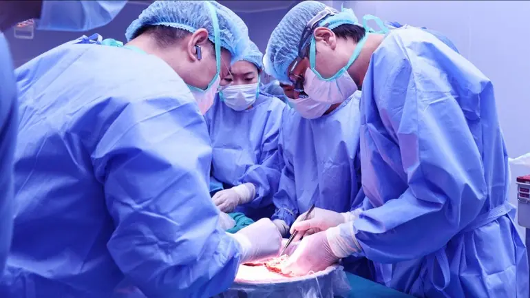 19 ca ghép tạng, 19 cuộc đời được hồi sinh